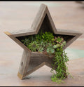 Rustic Star Planter